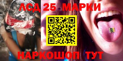 гидропоника Пушкино