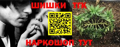 гидропоника Пушкино