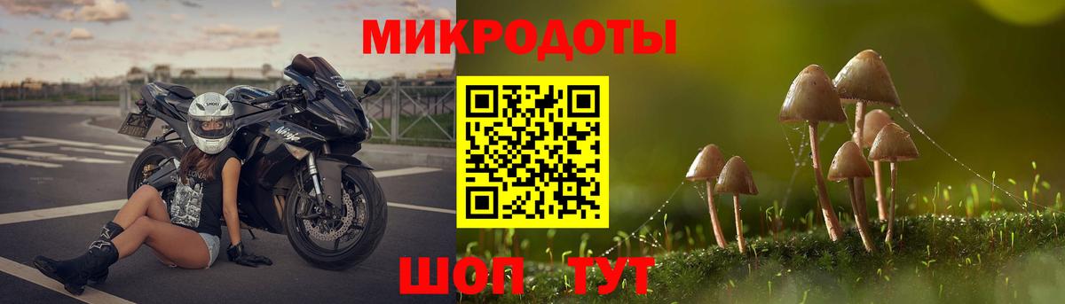 Псилоцибиновые грибы Magic Shrooms Россия